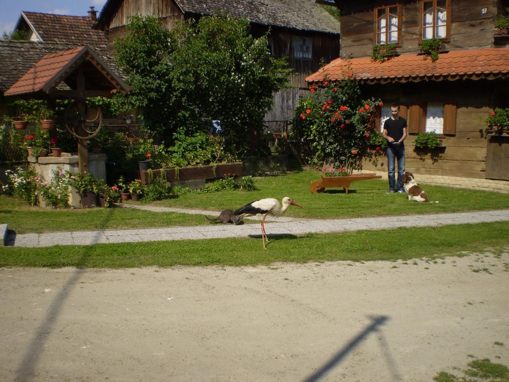 Apartments Iza Na Trem Čigoč Eksteriør bilde