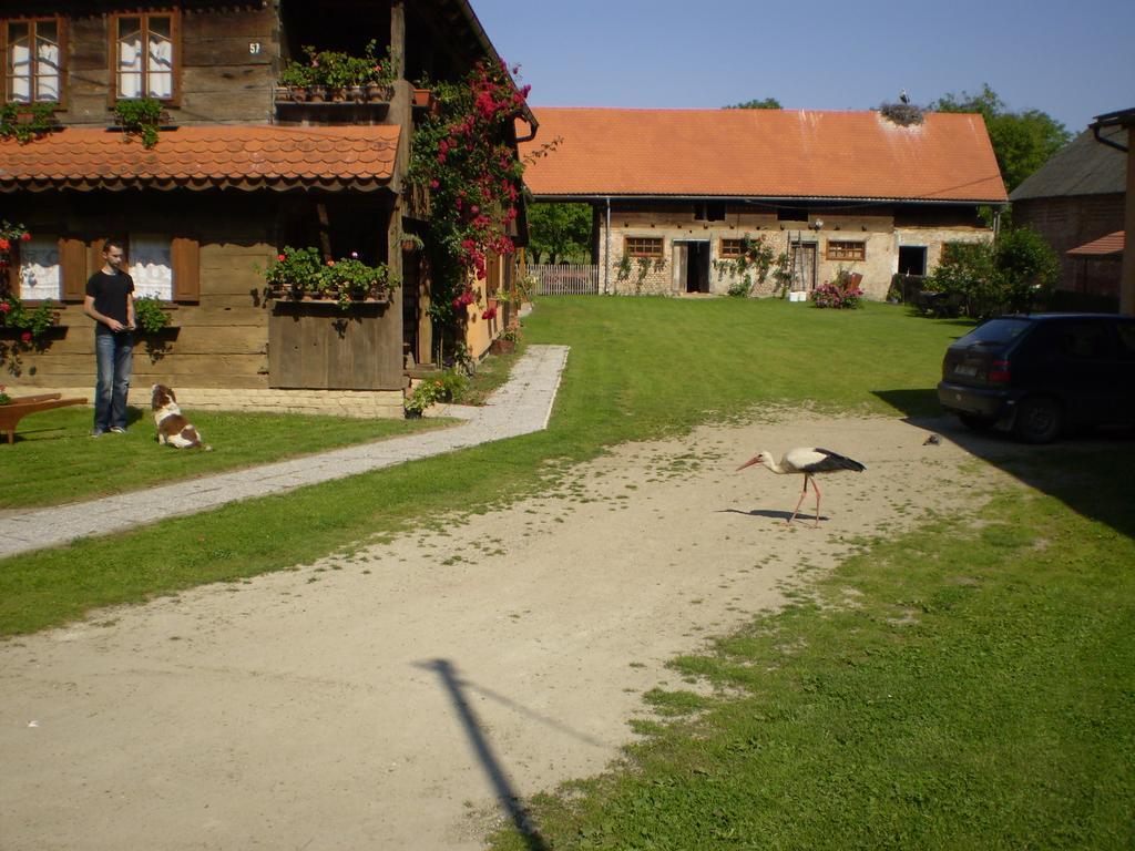 Apartments Iza Na Trem Čigoč Eksteriør bilde